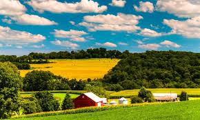We did not find results for: Buying A Rural Property How To Check The Land And Neighbours Smart Tips