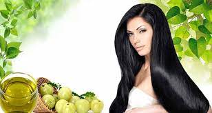 One amla contains up to 81.2 percent of moisture. Health Benefits Of Amla Kalingatv