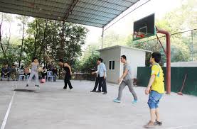 But it's difficult to see the european ecommerce industry as one, as it consists of several regions that all play their own role. About Us Sgshop