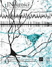 Can flow and take the shape of their container, because their particles can move around each other. Gabaergic Medial Septal Neurons With Low Rhythmic Firing Innervating The Dentate Gyrus And Hippocampal Area Ca3 Journal Of Neuroscience
