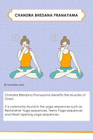 Single Nostril Breath Yoga Chandra Bhedana Pranayama Yoga Sequences Benefits Variations And Sanskrit Pronunciation Tummee Com Pranayama Pranayama Yoga Yoga Sequences