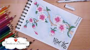 Un trandafir delicat, in creion. Flori De Cires Primavara Desenez Si Colorez Flori Sakura Youtube