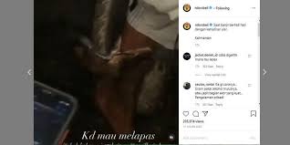 Apakah yang dimaksud tangga nada?10. Viral Video Ular Gigit Tangan Manusia Bagaimana Melepaskan Gigitan Ular Halaman All Kompas Com