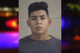 Darlin Martinez-Lemus — Whitfield County Jail Bookings