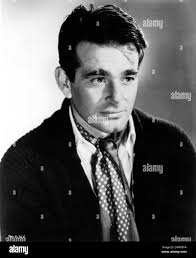 Stuart fox hi-res stock photography and images