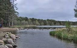 Image result