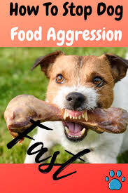 Food aggression is a type of resource guarding. Dog Food Aggression Follow These 3 Fool Proof Methods To Stop This Now Food Aggression In Dogs Agressive Dog Dog Behavior