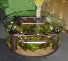 Select from distinct coffee table aquarium at alibaba.com to enhance the aesthetic appearance of your interior decor. 45 Gal Round Coffee Table Glass Aquarium Id 4016943 Product Details View 45 Gal Round Coffee Table Glass Aquarium From Amazon Aquarium Ec21