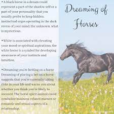 Horse Spirit Animal Meaning Horse Spirit Animal Spirit Animal Meaning Animal Totem Spirit Guides