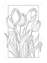 국내 최대 웹툰 미리보기, 다시보기, 성인웹툰 최다보유 simpson 입니다 매일 가장 빠르게 많이 업데이트 되며 최고의 인터페이스 속도를 지원합니다 가장 빠르고 다양한 웹툰 미리보기, 다시보기, 성인웹툰. íŠ¤ë¦½ ê½ƒ ìƒ‰ì¹  ê³µë¶€ ë²¡í„° ì¼ëŸ¬ìŠ¤íŠ¸ ë ˆì´ ì…˜
