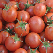 Fruit de type plum, rond à légèrement ovale, rayé rouge et jaune. Tomato Pink Bumble Bee Organic Adaptive Seeds