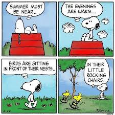 Pin By Pia Werner On Snoopy Snoopy Funny Snoopy Comics Snoopy Love