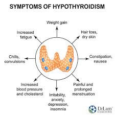 Image result for Subclinical Hyperthyroidism
