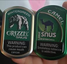 Would taking the contents of the pouch out and putting it under your lip and. These Are Literally The Same Exact Product Snus