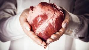 Check spelling or type a new query. Inilah Penyakit Hati Orang Munafik Liver Dalam Islam Dan Medis