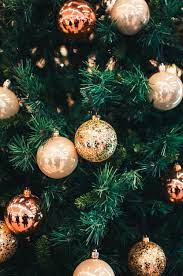 We did not find results for: 20 000 Besten Weihnachten Fotos 100 Kostenloser Download Pexels Stock Fotos