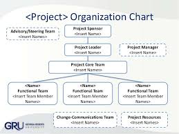 Organization Chart Project Responsibilities