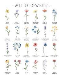 Wildflower Art Print Watercolor Flower Art Botanical Print Black Eyed Susan Texas Selenia Watercolor Flower Art Tiny Flower Tattoos Birth Flower Tattoos