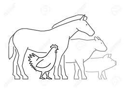 Maybe you would like to learn more about one of these? Outline Farm Animals On A White Background Black Line Design Royalty Free Cliparts Vectors And Stock Illustration Image 52826972