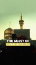 IMAM | Can I own a dog? We explain Sayyid Sistani's ruling owning ...