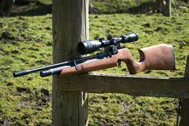 If you are about to do pest control or small hunting game, search for co2 air rifle with more than 700 fps velocities for.177 this is one of the best value for the money rifles, it`s cheap but overall amazing co2 air rifle. Cheap Pcp Air Rifles From Under 500 To Under 1000