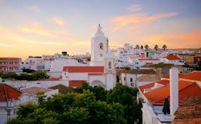 Image result for Faroa duvigneaud