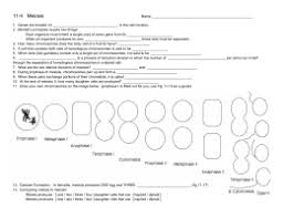 Sw science 10 mitosis worksheet answers download: Chapter 11 Swbat S And Standards