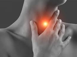 La glande thyroïde joue un rôle essentiel. Hyperthyroidie Definition Symptomes Traitements Sciences Et Avenir