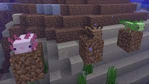 These new mobs are tameable, and you can take them with you on any aquatic adventure. Minecraft Axolotl Mob New Mob In Caves And Cliff Update 1 17 Gameplayerr
