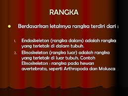 Check spelling or type a new query. Sistem Gerak Pada Manusia Ppt Download