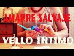 Amarre Con Vello Intimo Pubico Para Enamorar Para Siempre Hechizo Hoodoo Youtube Conjuros De Amor Hechizo Para Dominar Hechizos De Amor