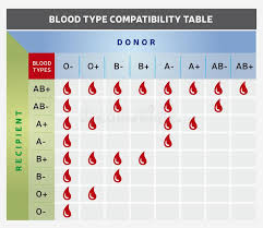 Blood Type Compatibility Table Chart With Donor And