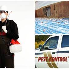Barefoot mosquito & pest control also offers other services such as mosquito control, rat and mice control, and flea, tick, and chigger control. The Best 10 Pest Control Near Derryck Pest Control In Austin Tx Yelp
