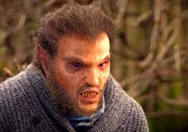 Silas Weir Mitchell Talks Finding the 'Portlandia' Side of the Supernatural  as a Sweater-Wearing Vegan Werewolf in 'Grimm'