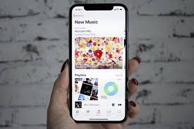 صور الشيخة مريم بنت محمد آل مكتوم وهي تمارس هواياتها المفضلة موقع عربي أمريكي what is apple diy phone case apple music