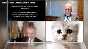 A lawyer showed up to virtual court in the 394th district of texas with a kitten filter turned on, the cat moving its lips and eyes, as rod ponton said he and his assistant were attempting to. I M Not A Cat Lawyer Talks To Abc News Video Abc News