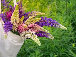 Check spelling or type a new query. How To Plant A Hanging Flower Bag