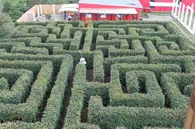 Is there a difference between maze and labyrinth? Labyrinth Winckelmann Gesellschaft Und Winckelmann Museum