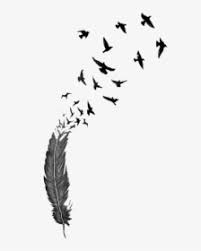 With perfect designs, perfect location, and perfect color and ink choices, this behind the ear feather tattoo is a great example of the classic use of feather imagery in tattooing. Peacock Feather Tattoo Designs Drawing Clipart Png Peacock Tattoo Black And White Transparent Png Kindpng