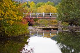 Truckee