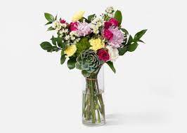 We did not find results for: The Eden Succulent Ruscus Mums Urbanstems Flower Bouquet Delivery