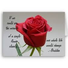 Red Rose Valentine With Buddha Quote Card Best Valentine Quotes Rose Love Quotes Valentine Quotes