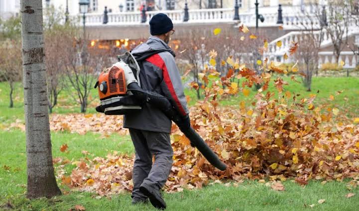 Hedge trimming service in a Sidcup residential garden