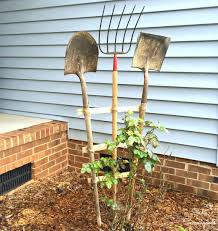 You're sure to find an essential gardening tool that makes your work easier and more efficient. Create A Whimsical And Functional Garden Trellis Using Old Heavy Yard Tools Like Pitchforks Rakes And Diy Garden Trellis Old Garden Tools Upcycle Garden