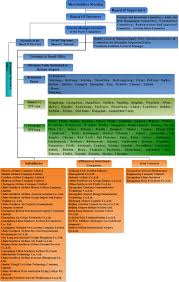 organizational structure csair