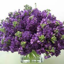 Pin On Wedding Event Ideas