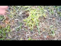 Cover the digging zone with loose soil or sand. How To Stop Animals From Digging Under Your Fence Youtube