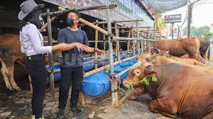 Bab wajib berpuasa ramadhan karena melihat hilal dan berbuka karena melihat hilal dan jika tertutup awan pada awal berpuasa atau akhir berpuasa, maka disempurnakan hitungan bulan menjadi tiga puluh hari Pemkot Depok Perbolehkan Potong Hewan Kurban Berikut Syarat Dan Ketentuannya Suara Bogor