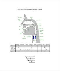 Ipa Chart 8 Download Free Documents In Pdf Word