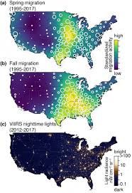 Chicago Tops List Of Most Dangerous Cities For Migrating Birds Bird Migration City Birds